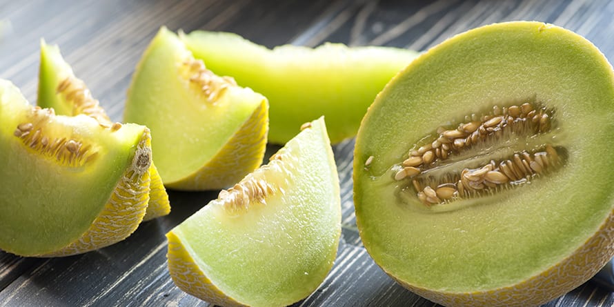 Honey Dew Green Melon (Cucumis melo)